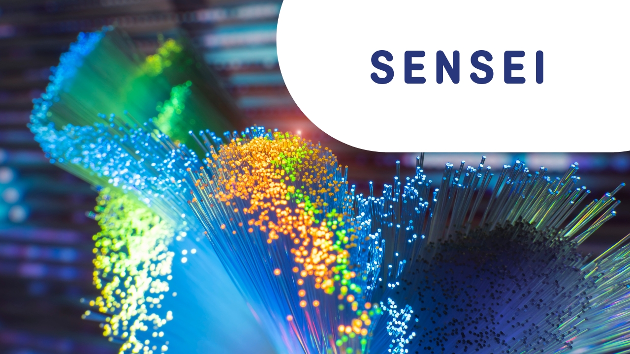 Leggi la scheda del progetto SENSEI