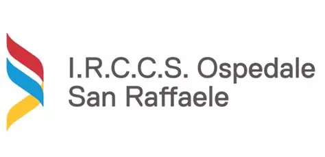 IRCCS Ospedale San Raffaele - Milano